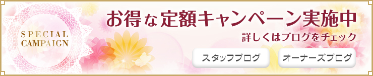 お得な定額キャンペーン実施中